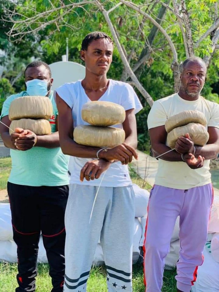 Trois individus de nationalité jamaïcaine ont été interpellés, jeudi 28 octobre